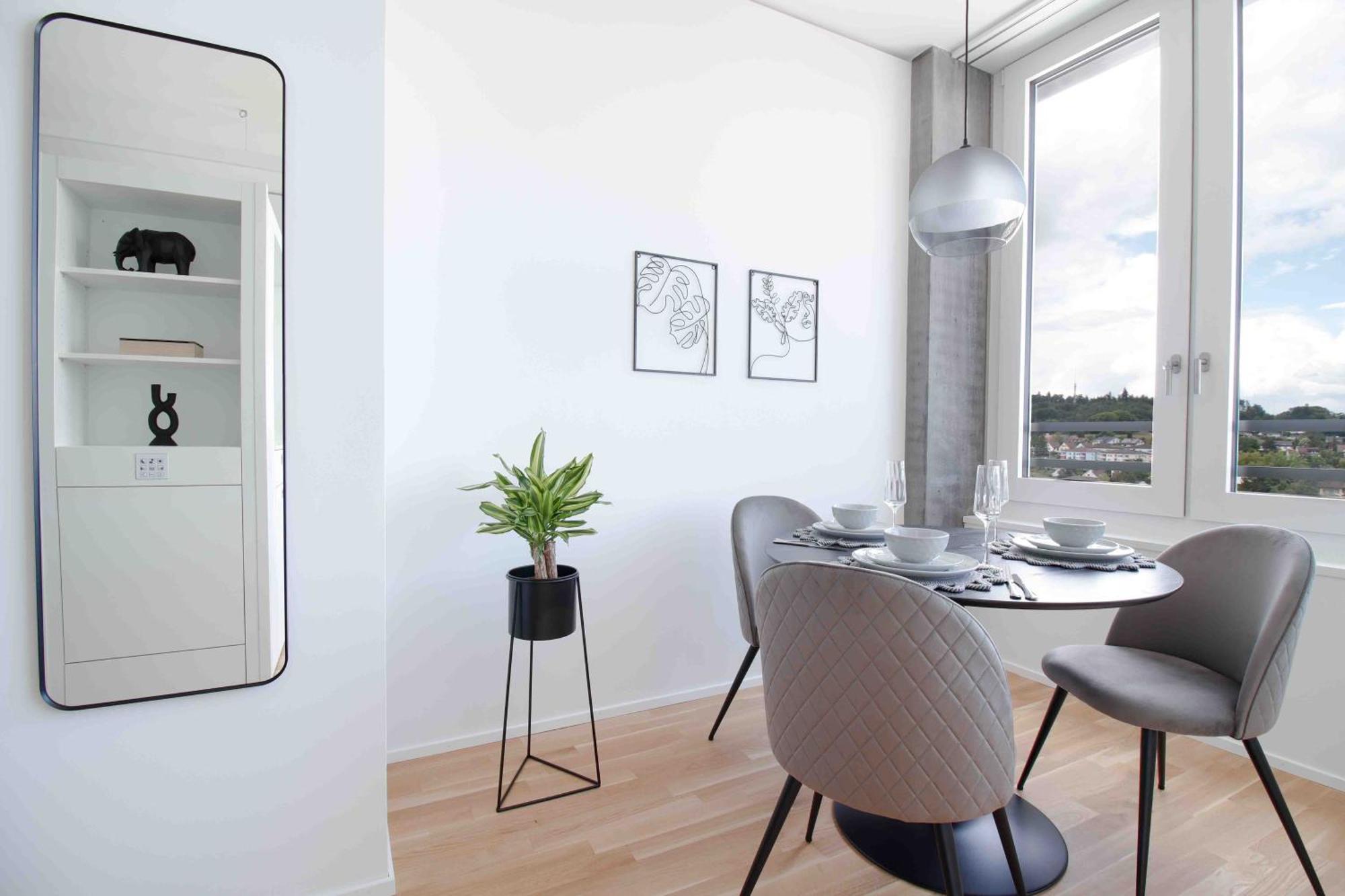 Loewe Apartments Am Rheinfall 诺伊豪森 外观 照片