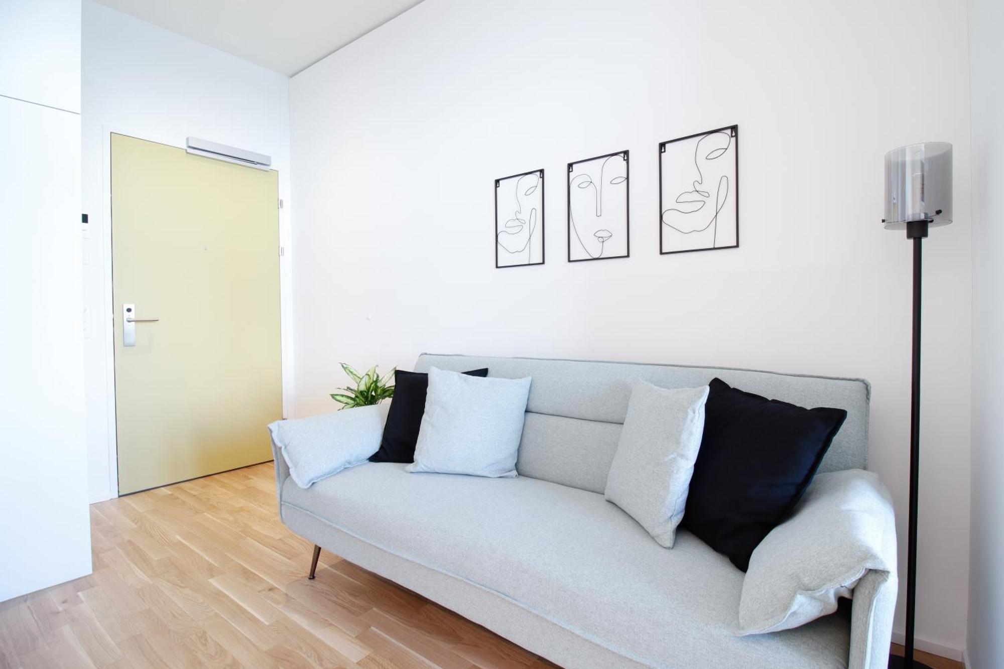 Loewe Apartments Am Rheinfall 诺伊豪森 外观 照片
