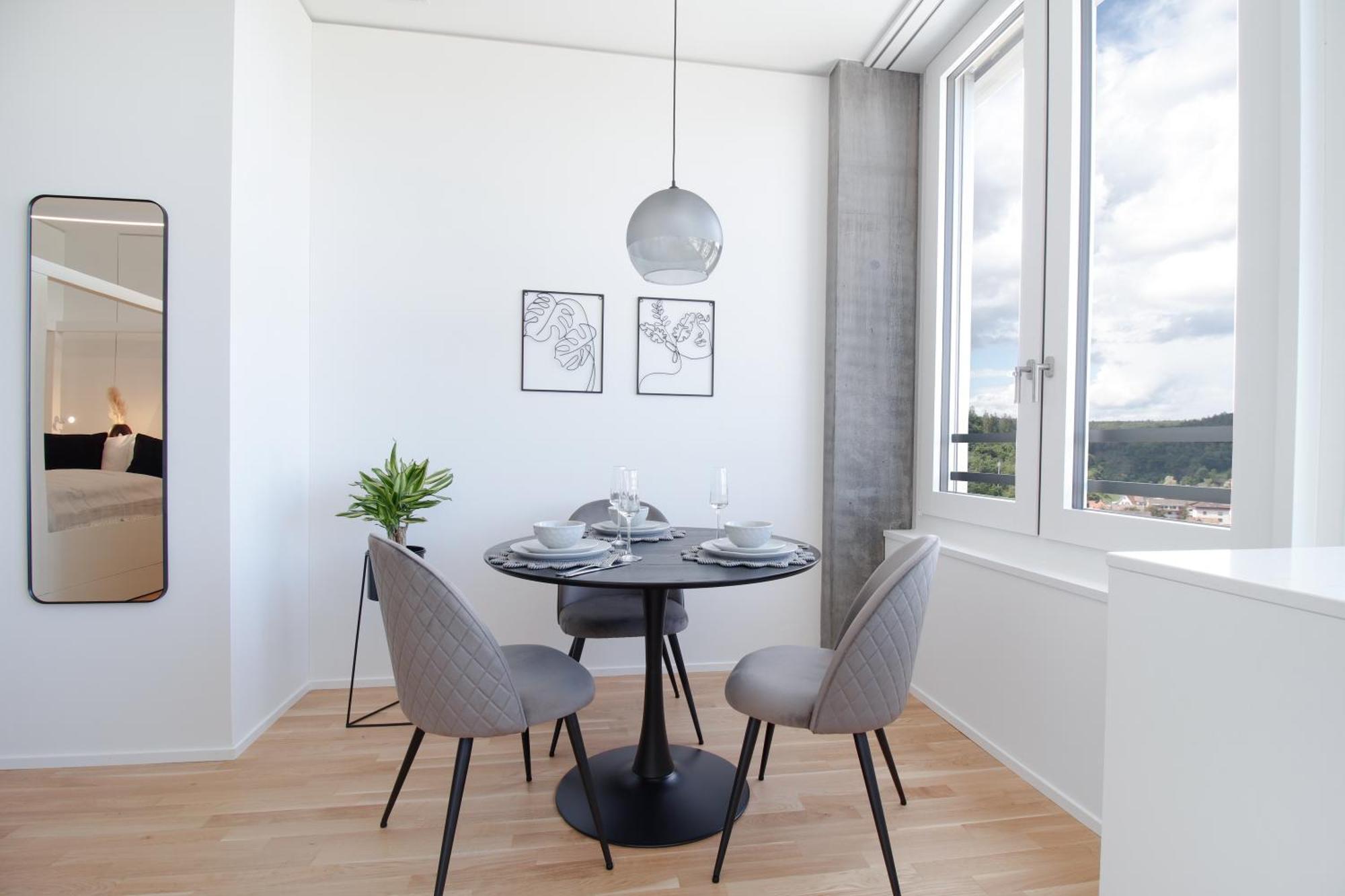 Loewe Apartments Am Rheinfall 诺伊豪森 外观 照片