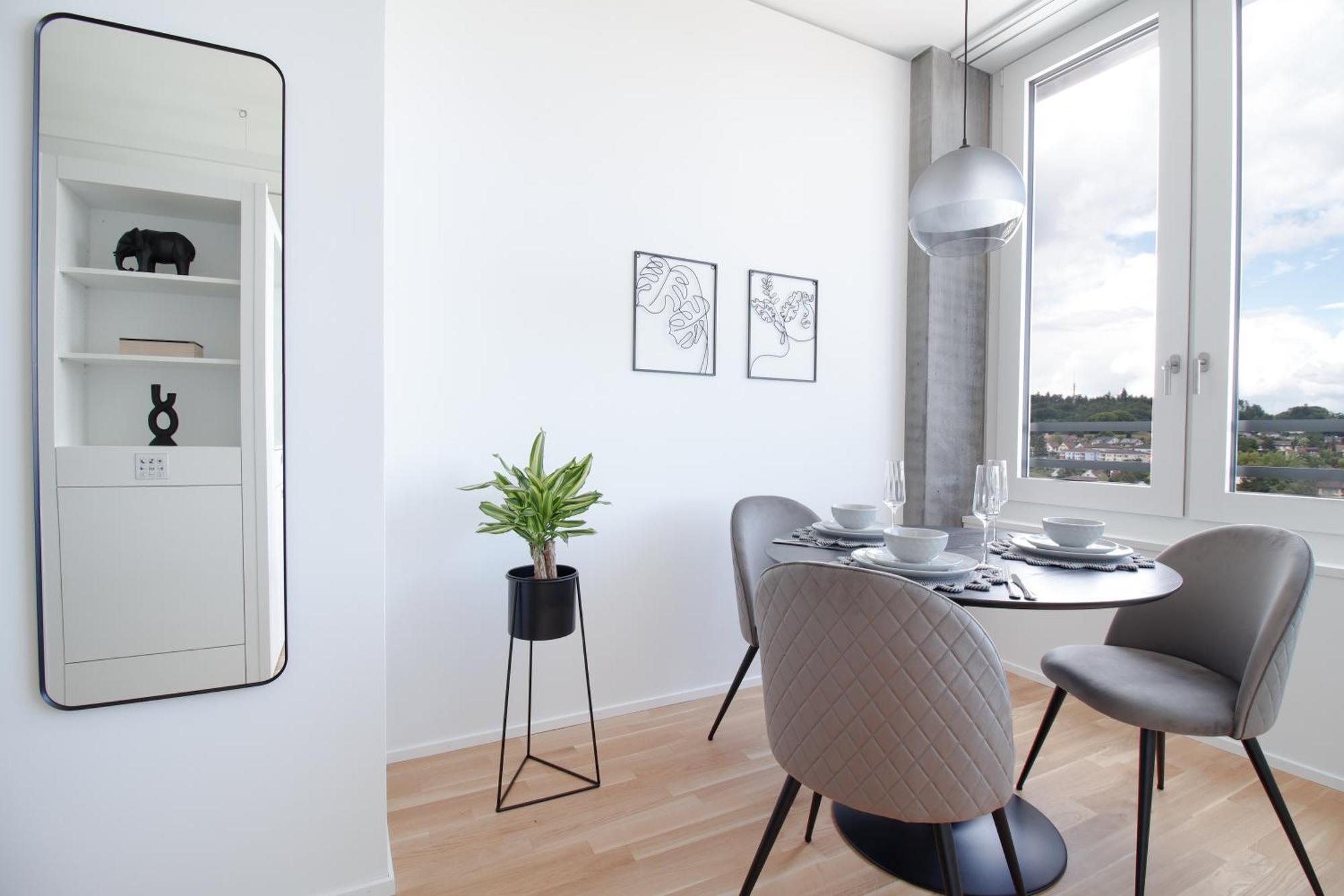 Loewe Apartments Am Rheinfall 诺伊豪森 外观 照片