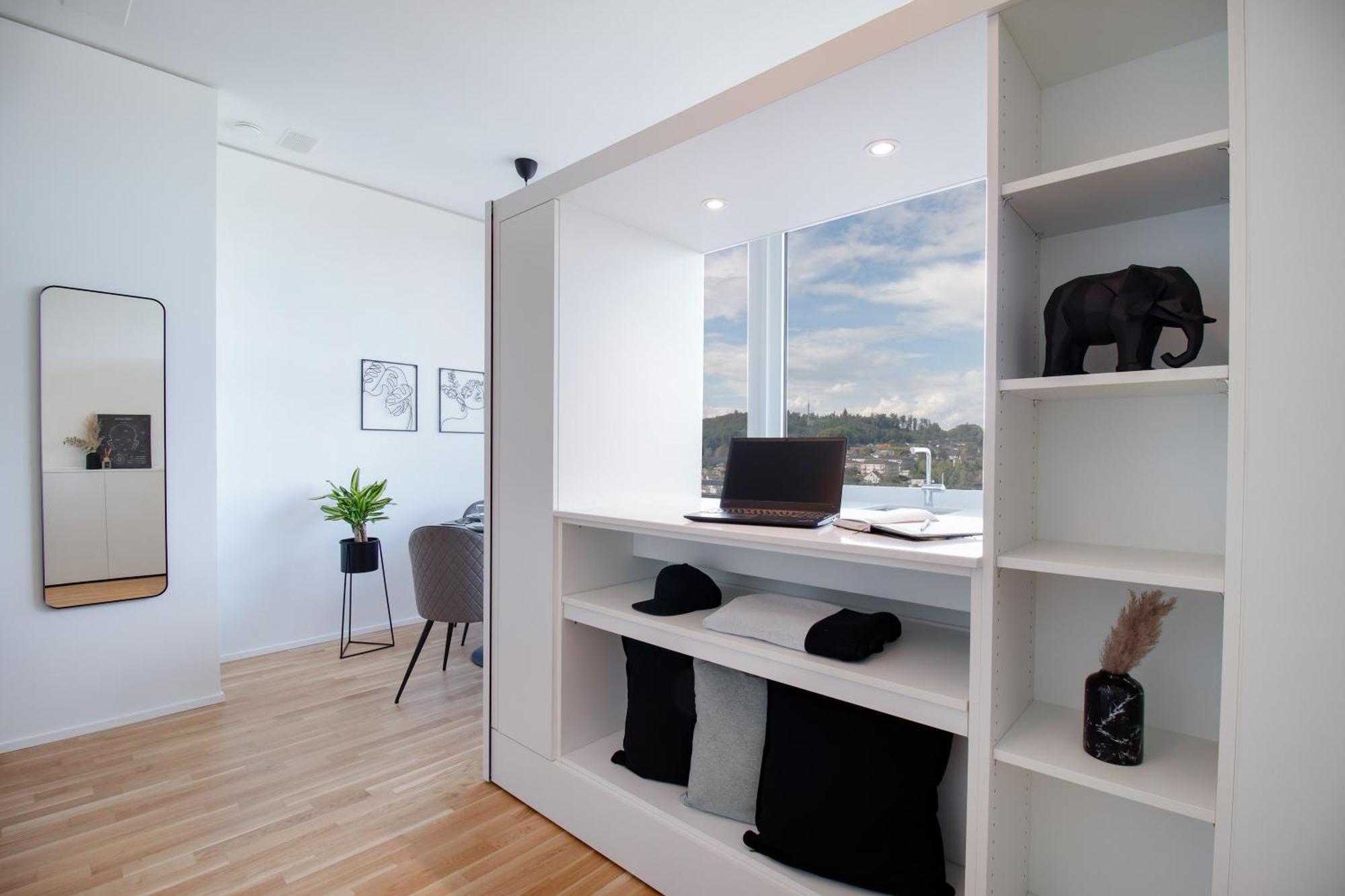 Loewe Apartments Am Rheinfall 诺伊豪森 外观 照片