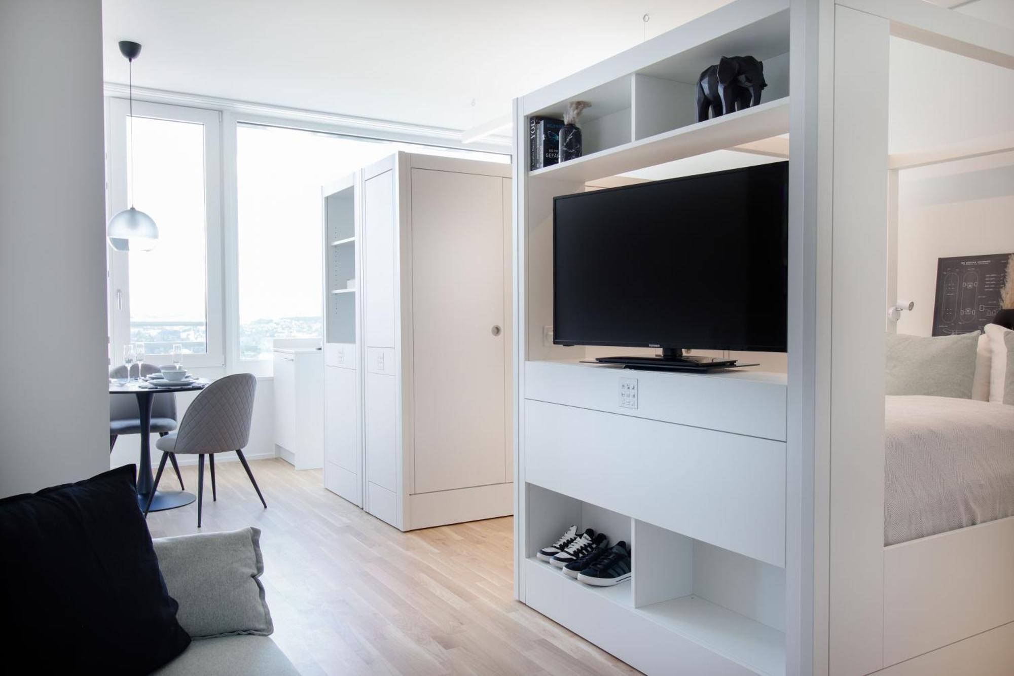 Loewe Apartments Am Rheinfall 诺伊豪森 外观 照片