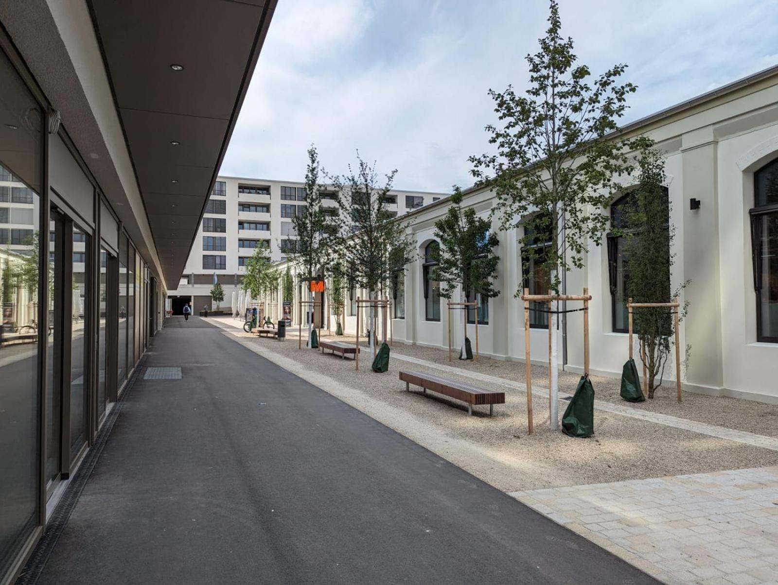 Loewe Apartments Am Rheinfall 诺伊豪森 外观 照片