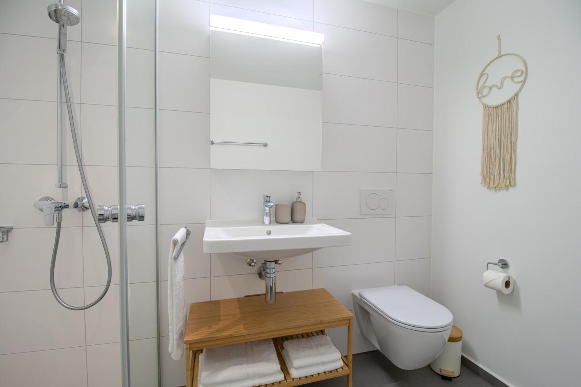 Loewe Apartments Am Rheinfall 诺伊豪森 外观 照片