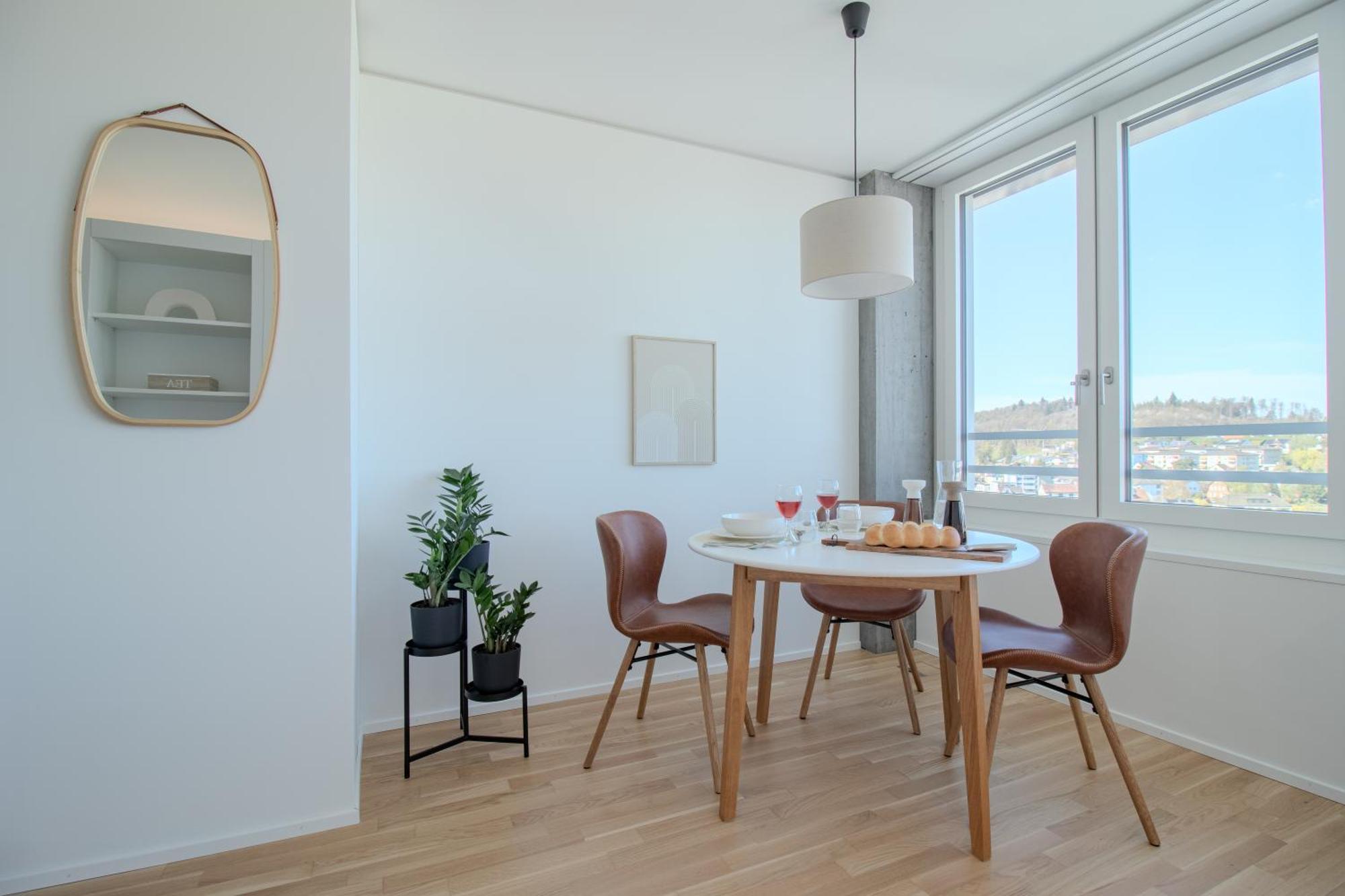 Loewe Apartments Am Rheinfall 诺伊豪森 外观 照片