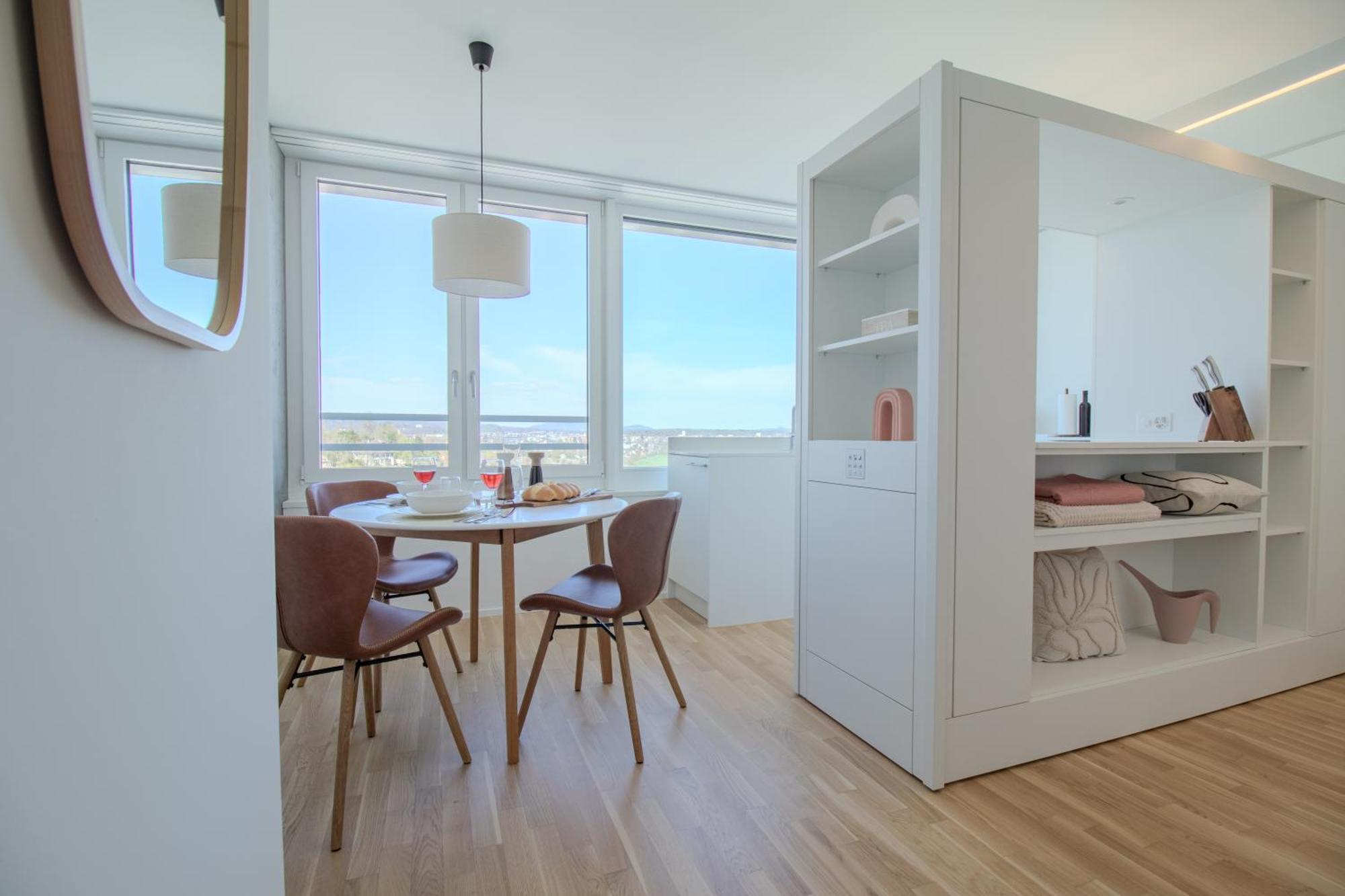 Loewe Apartments Am Rheinfall 诺伊豪森 外观 照片