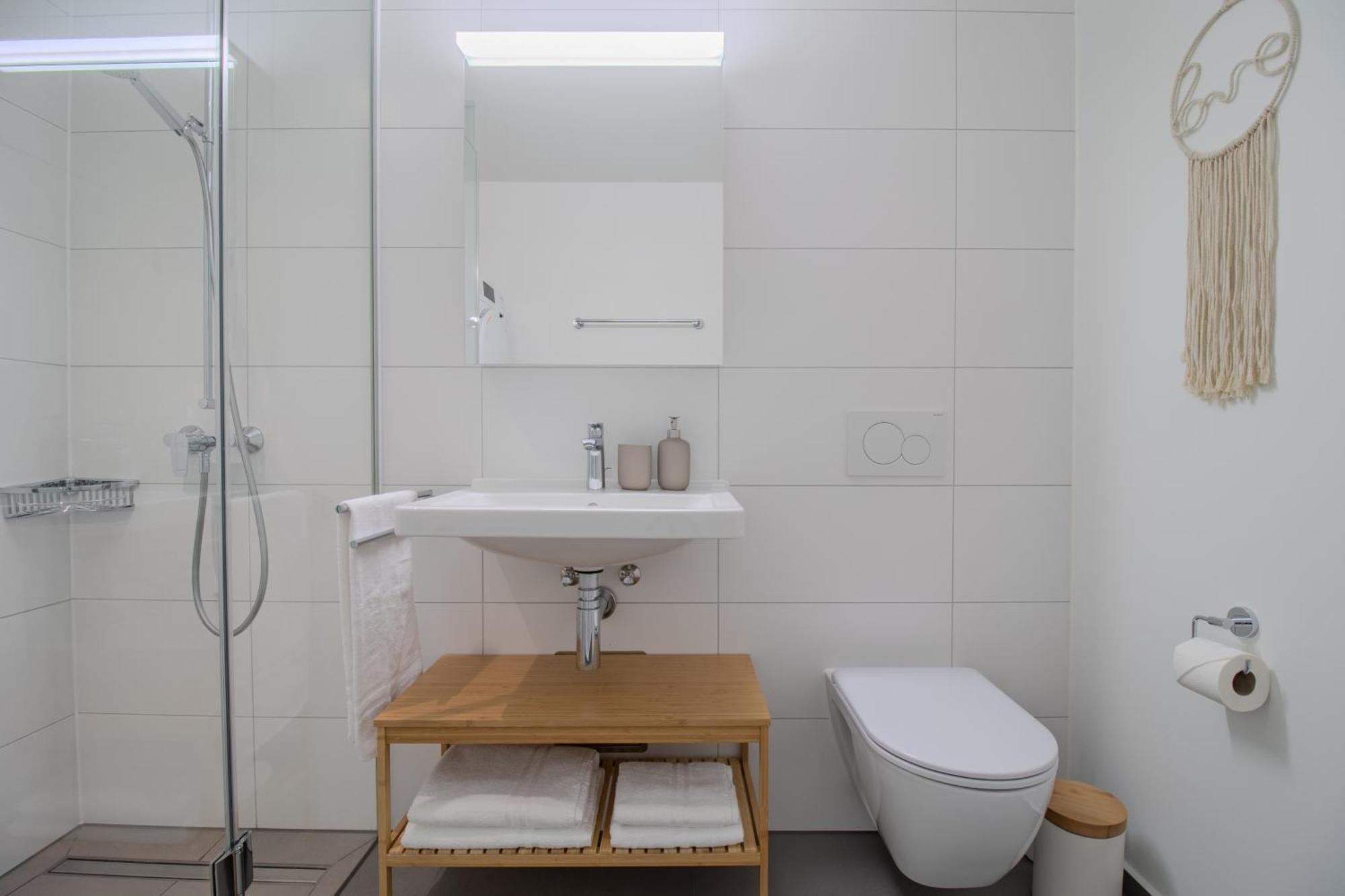 Loewe Apartments Am Rheinfall 诺伊豪森 外观 照片